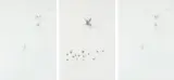 Judith Mason, Scarecrow, triptych, pencil on card