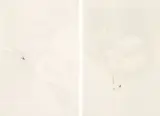 Judith Mason, House Snakes, diptych, pencil on artist's drawing board