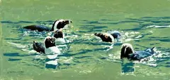 Raymond Ching, Five Jackass Penguins, oil on board