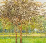 Diamond Bozas, Thorn and other Trees, Ndongwenya Park, Ulundi, oil on board