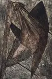 Cecily Sash, Pelican