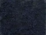 Ricky Burnett, Disasters of War XXII, oil on canvas