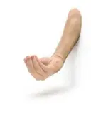 Ed Young, Arm 2, silicone, hair and paint