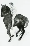 Bareback by Diane Victor, etching and aquatint, sold Jun 2018