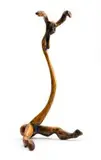 Lucas Sithole, Don't Sing if you Cannot Dance LS8203, 1982, carved umguluzi wood