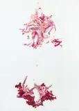 Wim Botha, Untitled 4 (Mercy Paintings), 2015, oil on canvas