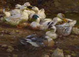 "Enten im Abendlicht" by Alexander Koester, Öl auf Leinwand, sold May 2016