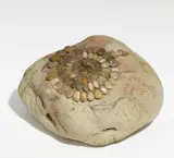 Mary Bauermeister, Ohne Titel (Kleines Steinobjekt)