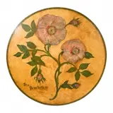 Ira Yeager, Rosa Benelomea
