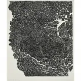 Bruce Conner, Untitled