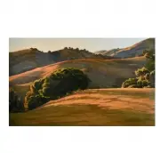 Lucas Valley by Christin Coy, 1999, oil on canvas, sold Nov 2021