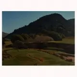 Ray Strong, Path on a Warm Marin Day, circa 1979, oil on canvas