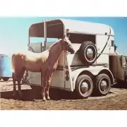 Richard McLean, Horse and Trailer, 1980, lithograph