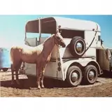 Richard McLean, Horse and Trailer, 1980, lithograph