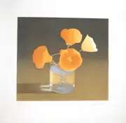 Mark Adams, California poppies, 1981, aquatint