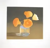 Mark Adams, California poppies, 1981, aquatint