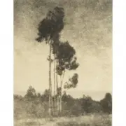 Leopold Hugo, Monterey Eucalyptus bromoil print image: 12.75 x 9.75 inches, framed: 16.75 x 14 inches, pencil