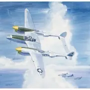Ed Diffenderfer, Top Cover, Lockheed P-38 WW II, acrylic on masonite