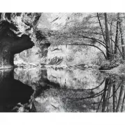 Bruce Barnbaum, In Oak Creek Canyon, 1979, photograph