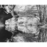 Bruce Barnbaum, In Oak Creek Canyon, 1979, photograph