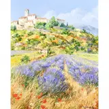 Roger Bolzonello, Lavender in Bargemes, oil on canvas