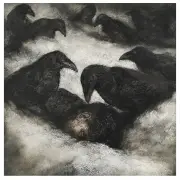 Paul Rumsey, Yancy Ravens, 2005, charcoal