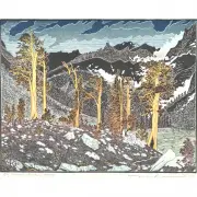 Tom Killion, Big Arroyo - Foxtail Pines, 2005, woodcut