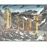 Tom Killion, Big Arroyo - Foxtail Pines, 2005, woodcut