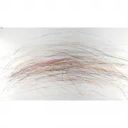 Tom Marioni, Flying with Friends, 2000, color drypoint on paper