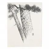 Lilian May Miller, Pines of the Heights, 1938, woodblock print
