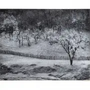 Ansel Adams, Rain Sonoma County Hills, gelatin silver print