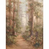 Charles Henry Harmon, Redwood Trees