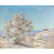 Joane Cromwell, Desert Beauty, oil on canvas