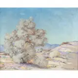 Joane Cromwell, Desert Beauty, oil on canvas