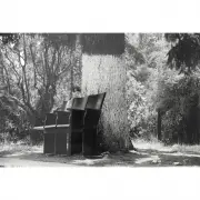 Anri Sala, Lets Entertain, 2000, photograph