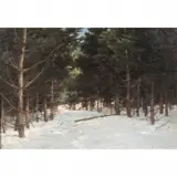Robert Decker, Snow Landscape, oil on canvas