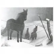 Grant Wood, February, 1940, lithograph