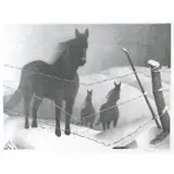 Grant Wood, February, 1940, lithograph
