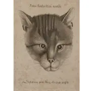 Head of a Cat, (Pennington 2109) by Wenceslaus Hollar, 1646, etching, sold Jul 2024