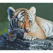 Terry Isaac, Tiger Cub at Rest, 04, oil on panel