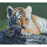 Terry Isaac, Tiger Cub at Rest, 04, oil on panel
