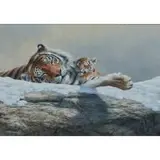 Jorge J. Mayol, Sleeping Tigers, 2007, acrylic on canvas