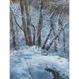 Michael Wheeler, Snow Magic, oil on canvas