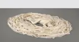 Kiki Smith, Revelation, 1994, ink on Nepalese paper and papier-mâché