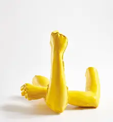Sarah Lucas, Get Hold Of This, 1994, plastic