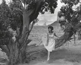 Untitled Film Still #43 by Cindy Sherman, 1979, gelatin silver print, sold Nov 2019
