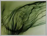 Freischwimmer 16 by Wolfgang Tillmans, 2003, chromogenic print mounted to Dibond, in artist's frame, offered Nov 2019
