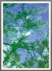 Thomas Ruff, jpeg tm01, 2005, chromogenic print with Diasec, in artist's frame