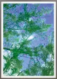 Thomas Ruff, jpeg tm01, 2005, chromogenic print with Diasec, in artist's frame