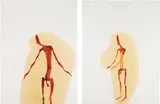 Antony Gormley, Two Works: (i) INSIDER V ; (ii) INSIDER XXI
